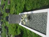 image of grave number 565562